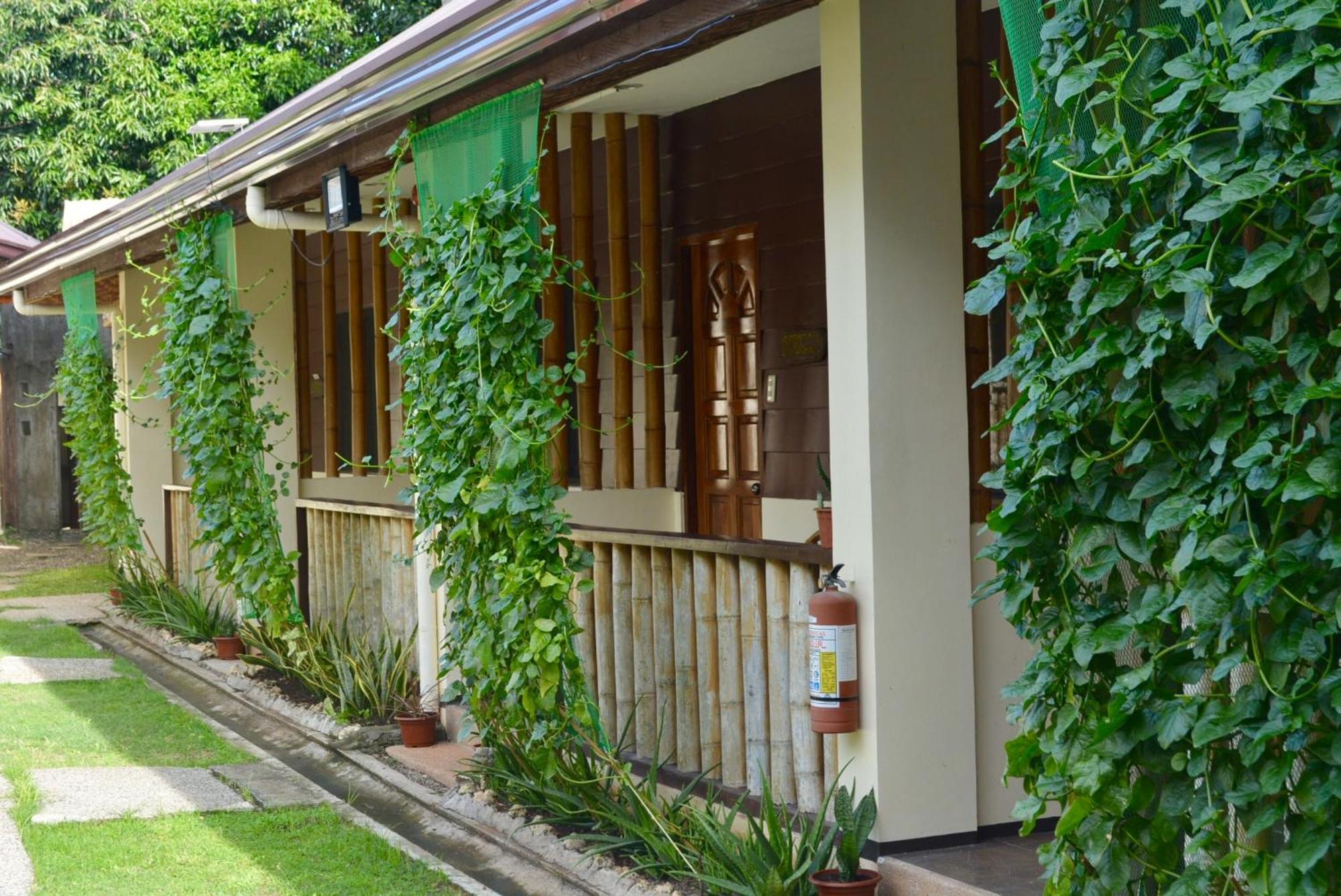 Chiisai Natsu Resort Bolod  Exterior foto